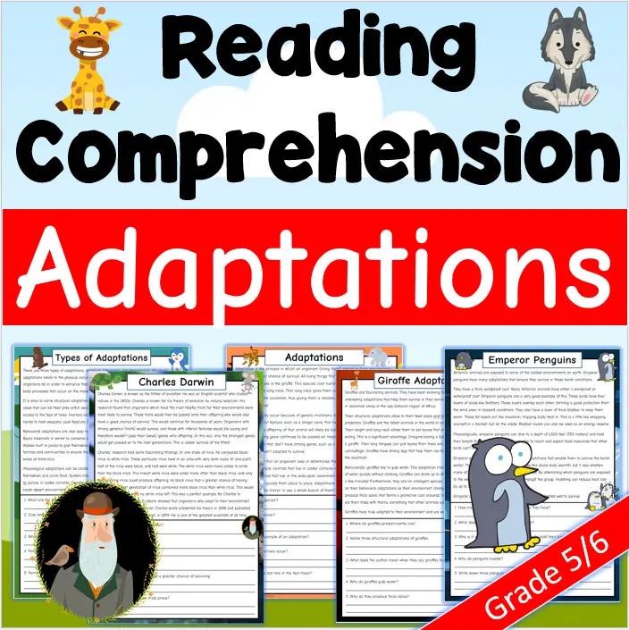 grade-5-6-adaptations-reading-comprehension-myfreeenglishworksheets